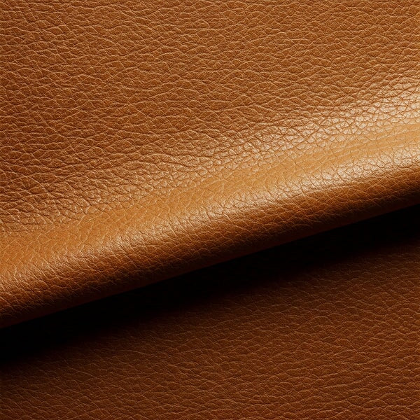 aniline leather closeup