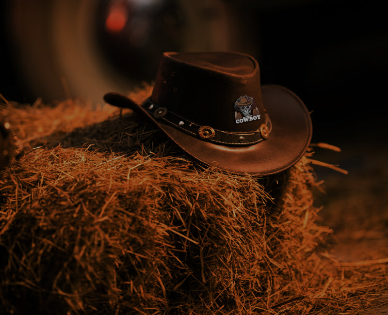 FULLY Western Cowboy Hat Price in India - Buy FULLY Western Cowboy Hat  online at